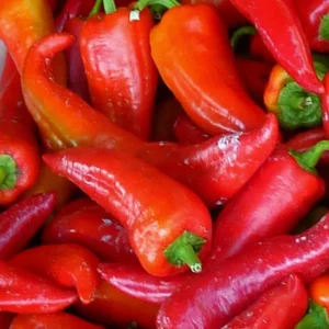 Punt paprika